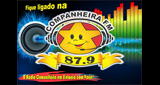 Companheira FM radio live streaming logo