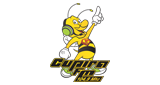 Rádio Cupira FM radio live streaming logo