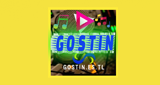 Radio Gostin radio live streaming logo