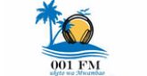 001 FM radio live streaming logo