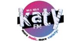 101.3 & 103.9 Katy FM radio live streaming logo