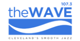 107.3 The Wave radio live streaming logo