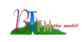Bfm The Model radio live streaming logo