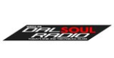 DalSoul Radio (WRDS-DB) radio live streaming logo