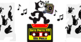 Gato Preto FM radio live streaming logo