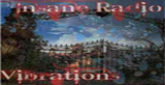 Insane Radio Vibrations radio live streaming logo