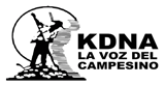 KDNA radio live streaming logo