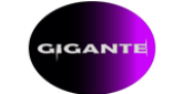 La Gigante Radio radio live streaming logo