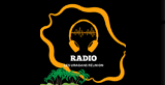 Les Uragans Reunion radio live streaming logo