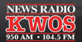 News Radio 950 radio live streaming logo