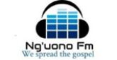 Ng'uono Fm 108.1 radio live streaming logo