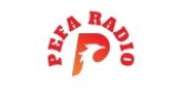 PEFA Radio radio live streaming logo