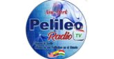 Pelileo Radio Tv radio live streaming logo