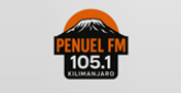 PenuelFM radio live streaming logo