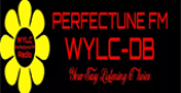 Perfectune FM radio live streaming logo