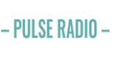 Pulse FM Radio Station Logo Pulse FM radio live streaming logo