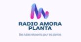 Radio Amora Planta radio live streaming logo