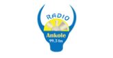 Radio Ankole 99.3 Fm radio live streaming logo