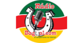 Radio Bagual radio live streaming logo