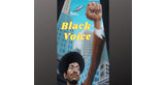 Radio Black Voice radio live streaming logo