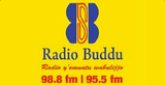 Radio Buddu 98.8FM and 95.5FM radio live streaming logo