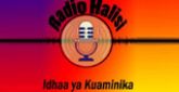Radio Halisi radio live streaming logo