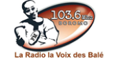 Radio la Voix des Balé radio live streaming logo