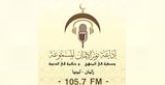 Radio Nour Aleman radio live streaming logo