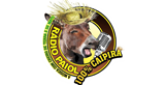 Rádio Paiol radio live streaming logo