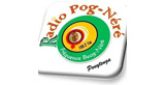 Radio Pognere radio live streaming logo