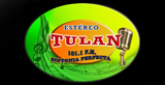 Radio Tulan AEMG 101.1 radio live streaming logo