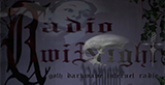 Radio TwiNight radio live streaming logo