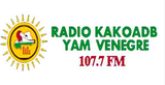 RADIO VENEGRE radio live streaming logo
