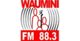 Radio Waumini radio live streaming logo