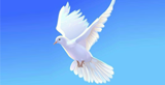 Rafiki-Farm Main Altar radio live streaming logo