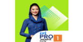 RRI Pro 1 radio live streaming logo