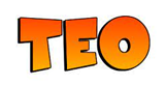 Teo Fm radio live streaming logo