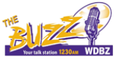 The Buzz Radio Station Logo The Buzz radio live streaming logo