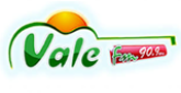 Vale FM radio live streaming logo