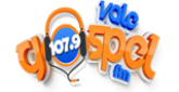 Vale Gospel Fm radio live streaming logo