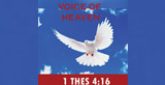 Voice Of Heaven radio live streaming logo