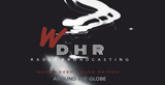 WDHR-DB House Music radio live streaming logo