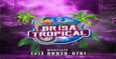 Web Radio Brisa Tropical radio live streaming logo