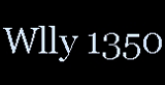 WLLY radio live streaming logo