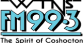 WTNS FM 99.3 radio live streaming logo